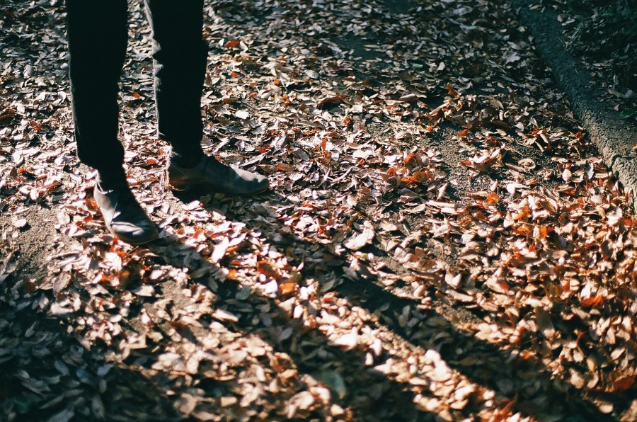 写真 2018-04-12 0 22 35