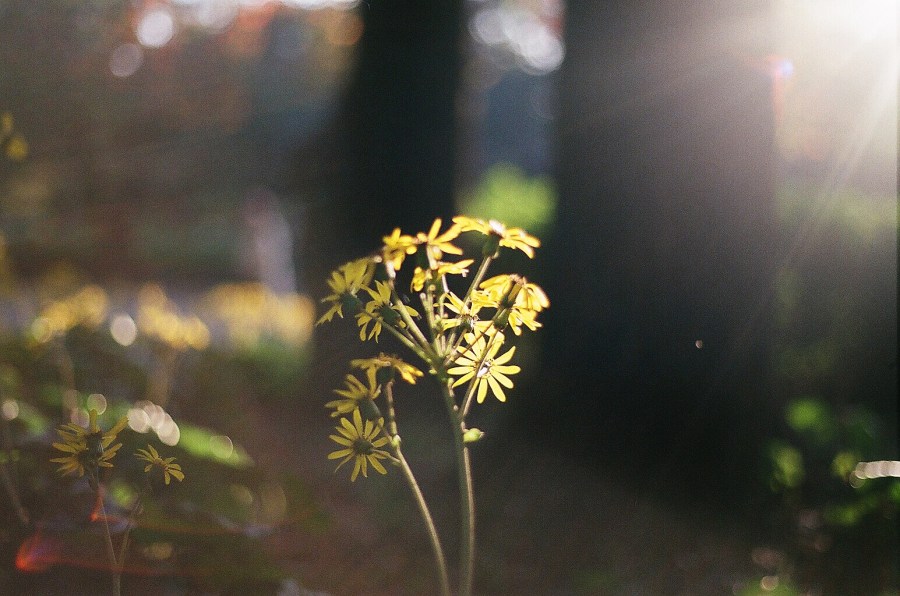 写真 2018-04-12 0 23 17